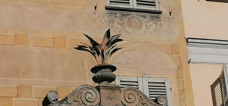 Palazzo Vassallo di Dogliani, il vaso metallico di aspidistra